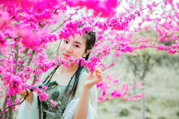 武汉第一人民医院养生秘籍：喝好茶，养身心